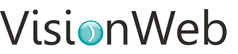 What Does VisionWeb Do?