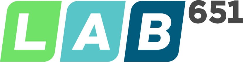 What Does Lab651 | Custom Software Development & Process Do?