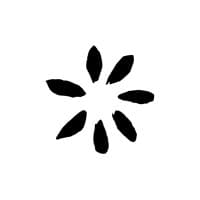 What Does Pickle Do? - Company Overview