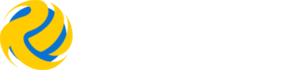 What Does Resource Informatics Group, Inc Do?