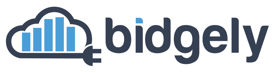 What Does Bidgely Do?
