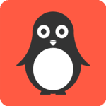 What Does Codingal Do?