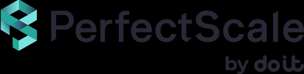 What Does PerfectScale by DoiT Do?