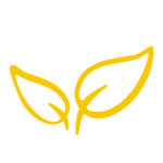 What Does Beanstalk Do?