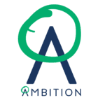 What Does Ambition Do?