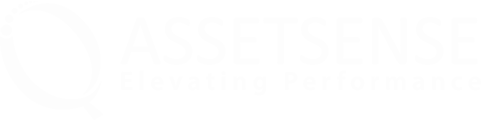 What Does AssetSense Do?