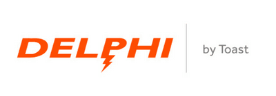 What Does Delphi Display Systems Do?