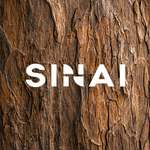 What Does SINAI Do? Carbon Emissions Management Software for Enterprises