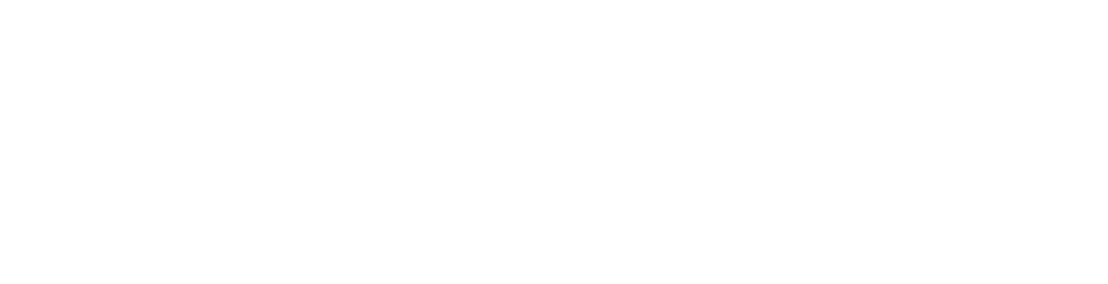 What Does VIIHEALTH, INC. Do?