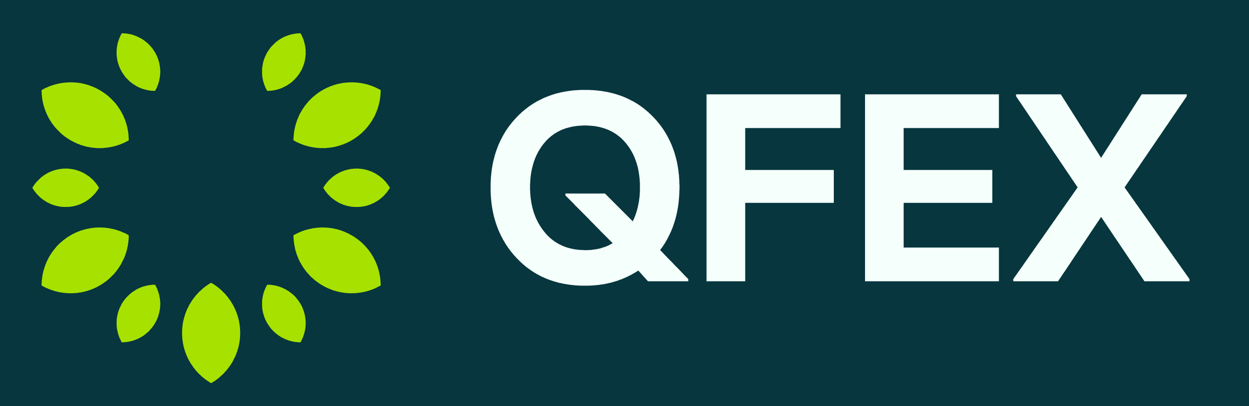 What Does QFEX Do? - Company Overview