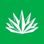 What Does Agave Do? Construction Financial Data Infrastructure Explained