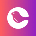 What Does Courier Do? Developer Notification API Platform Explained