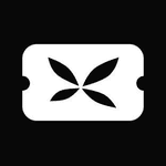 What Does The Ticket Fairy Do?