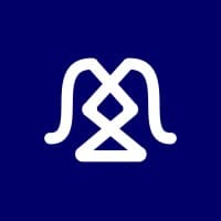 What Does Blueshoe Do? - Company Overview