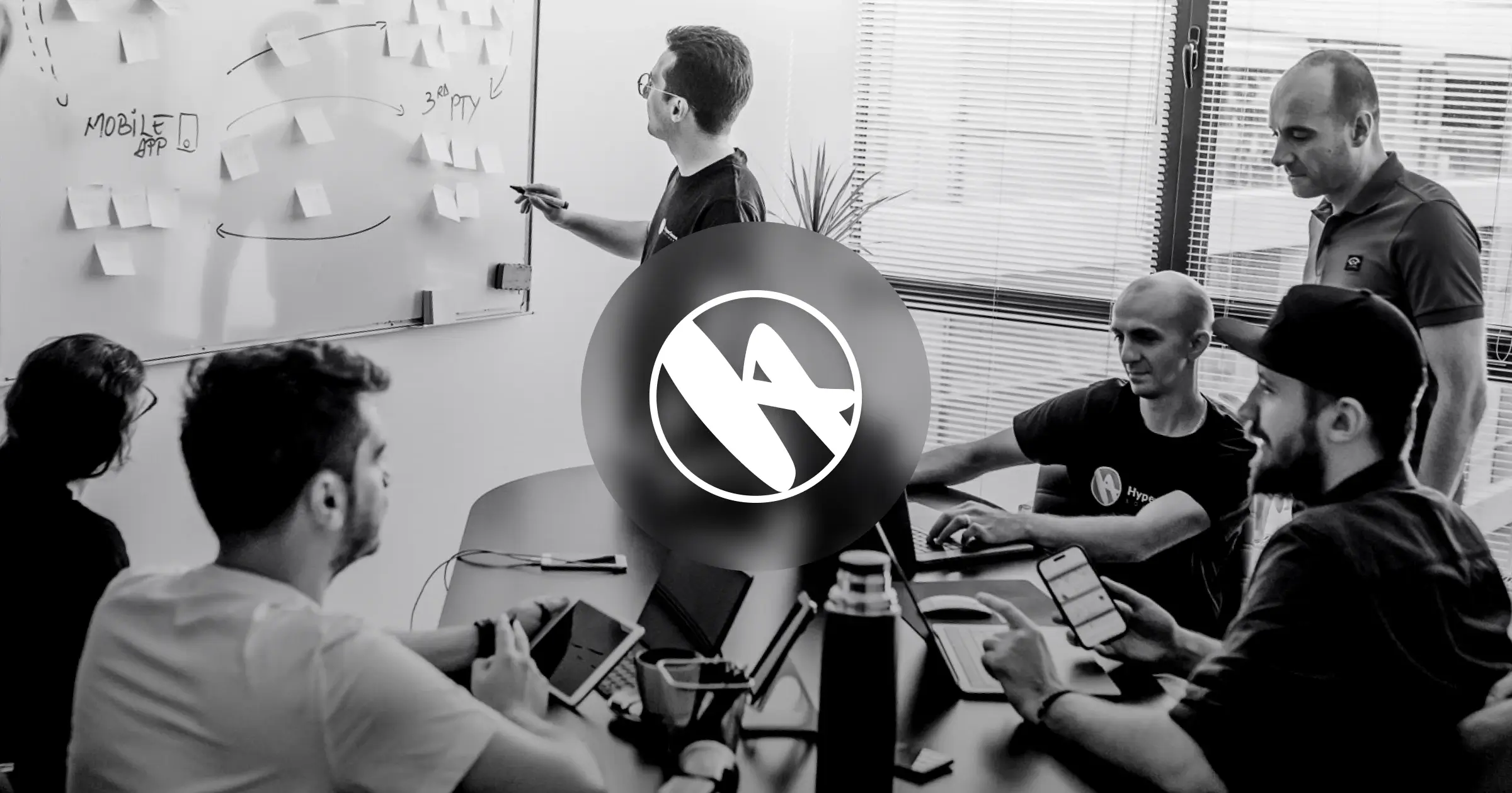 What Does HyperSense Software Do?