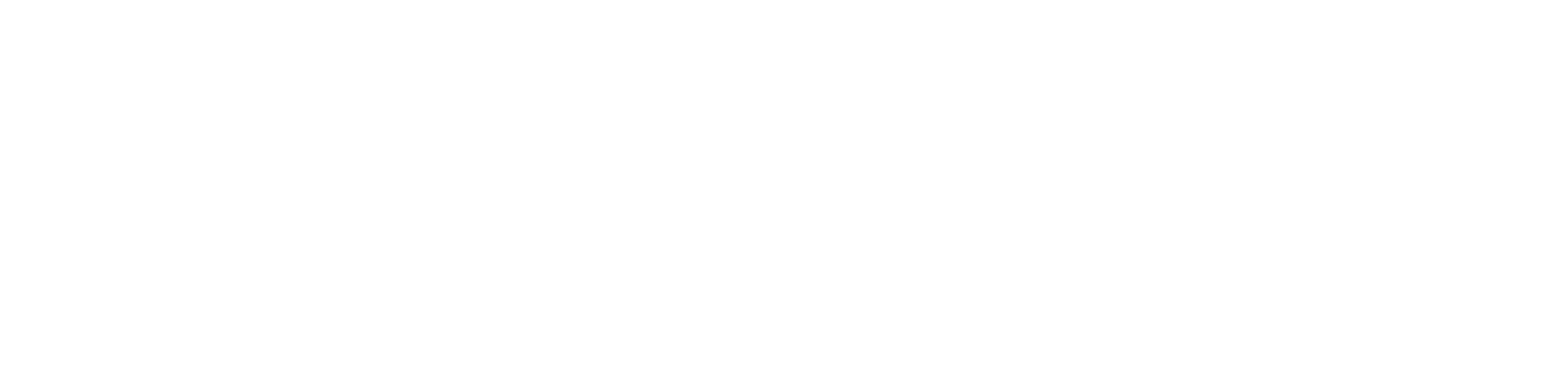 What Does Revnue Do?