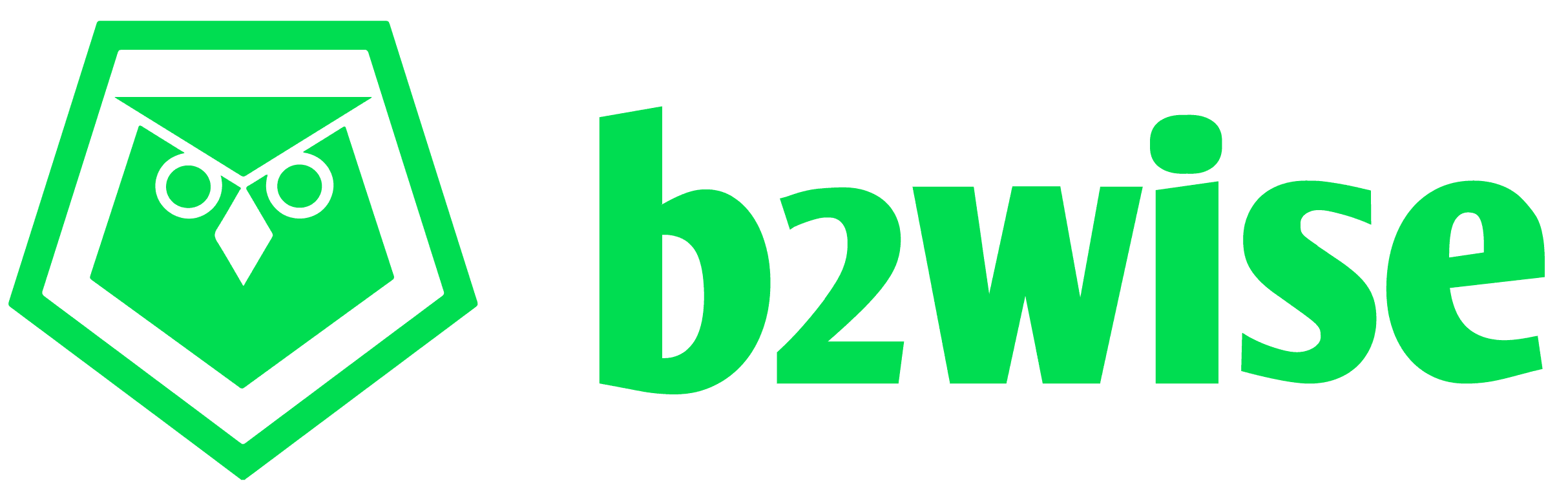 What Does b2wise Do?