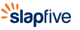 What Does SlapFive: Customer Marketing Do?