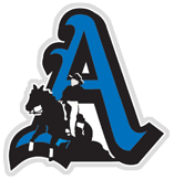 What Does Chesapeake System Solutions, Inc. Do?