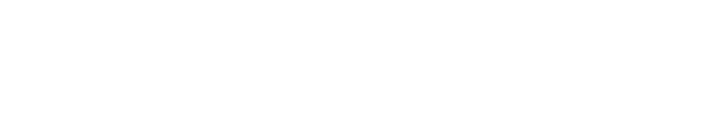 What Does Cinchio Solutions Do?