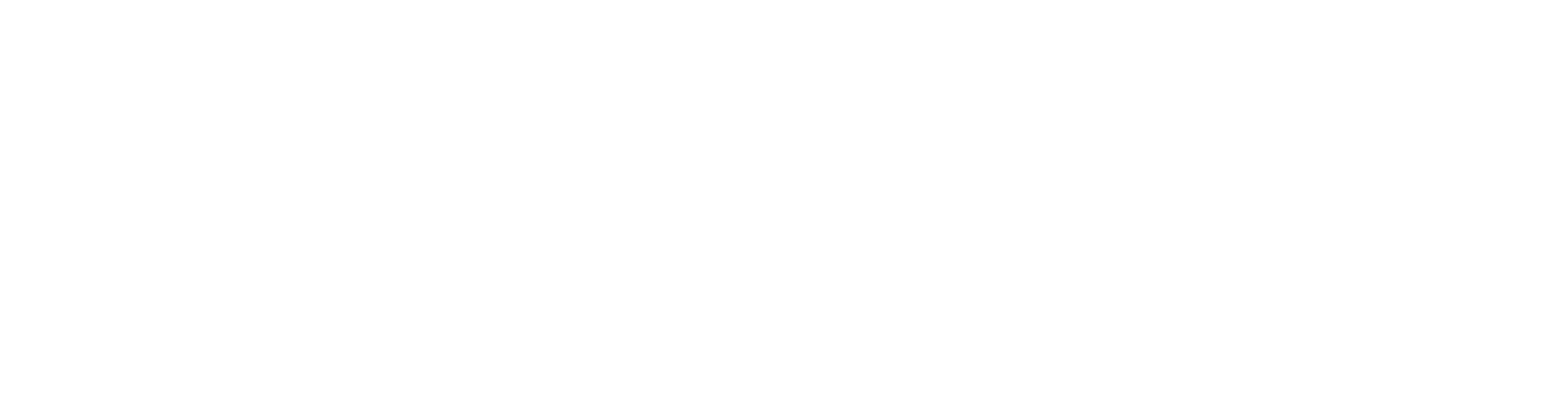 What Does Alpha Software Do?