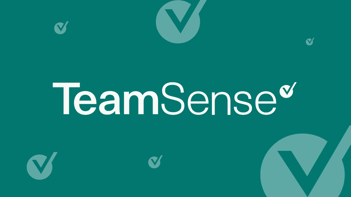 What Does TeamSense Do?