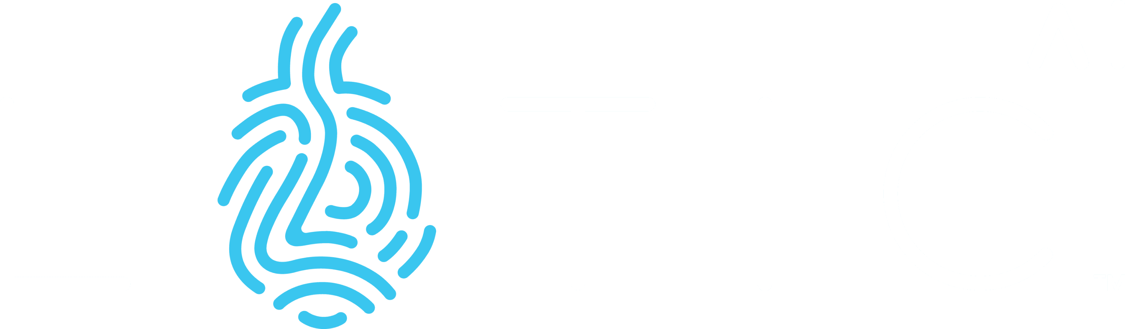 What Does Lotic.ai, Inc. Do?