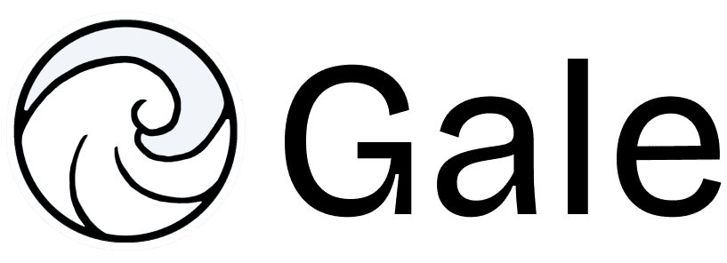 What Does Gale Visa Do? - Company Overview