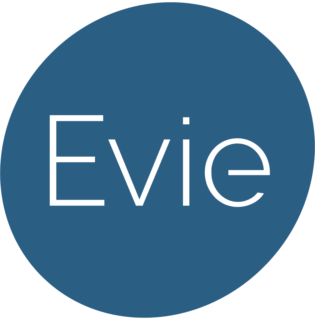What Does Evie.ai Do?