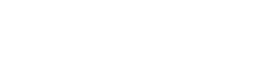 What Does Ravina Technologies Do?