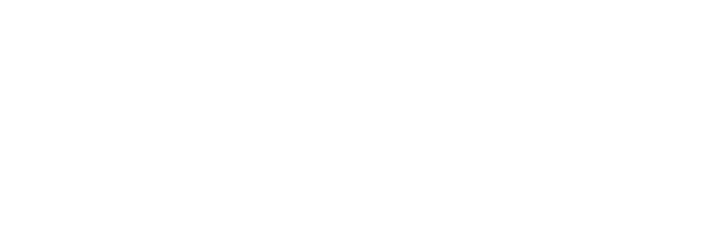 What Does ViewMind Inc. Do?