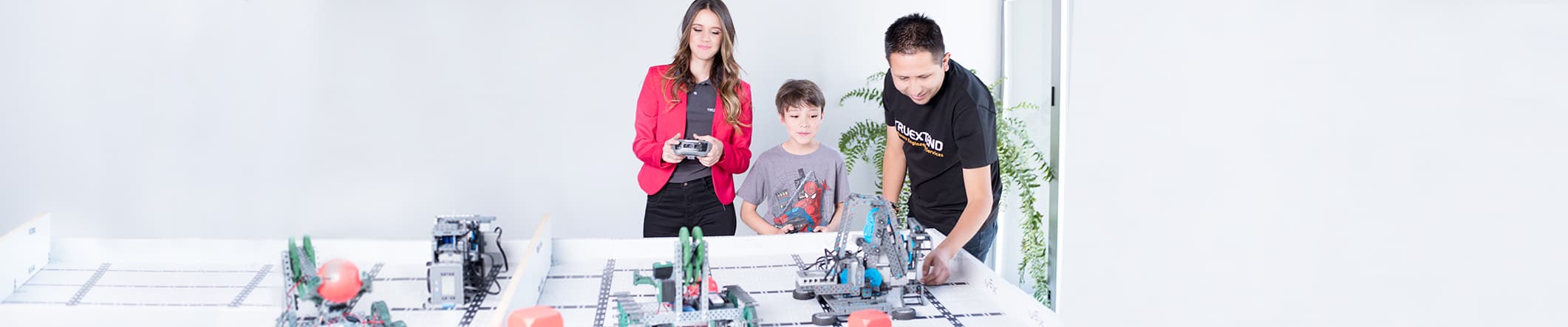 What Does TRUEXTEND, Inc. Do?