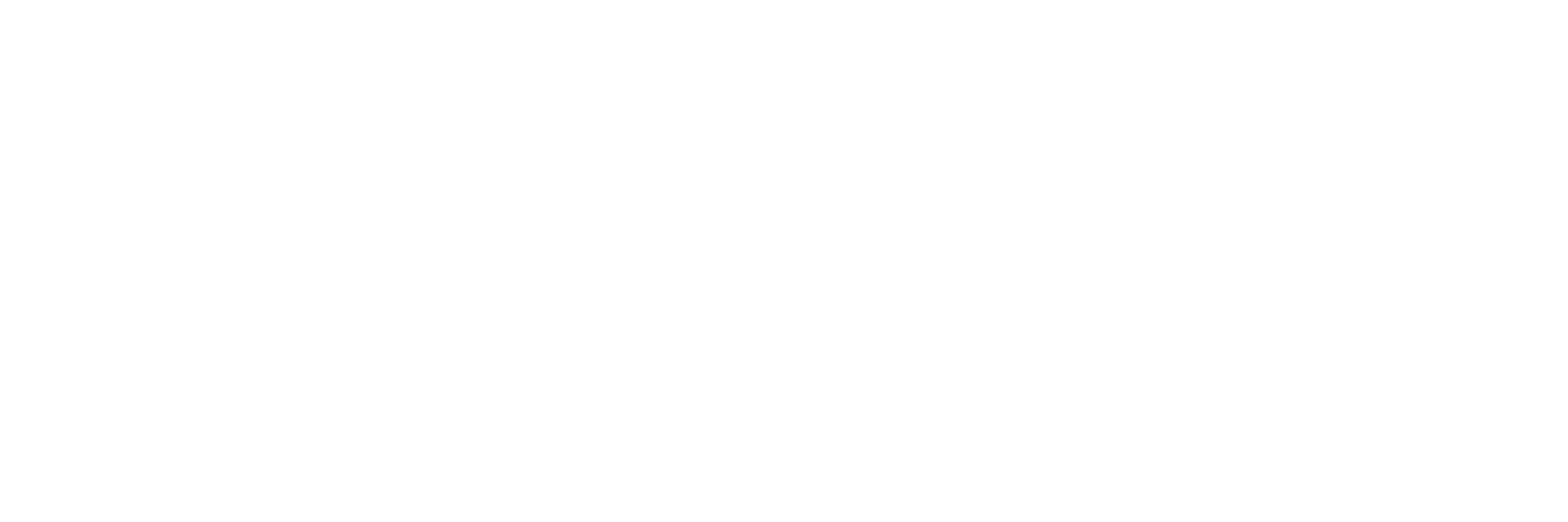What Does EvonSys Do?