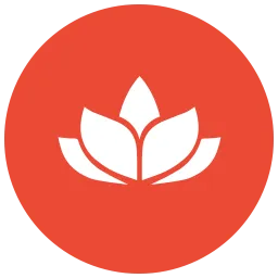 What Does Health Samurai | Aidbox FHIR Platform Do?