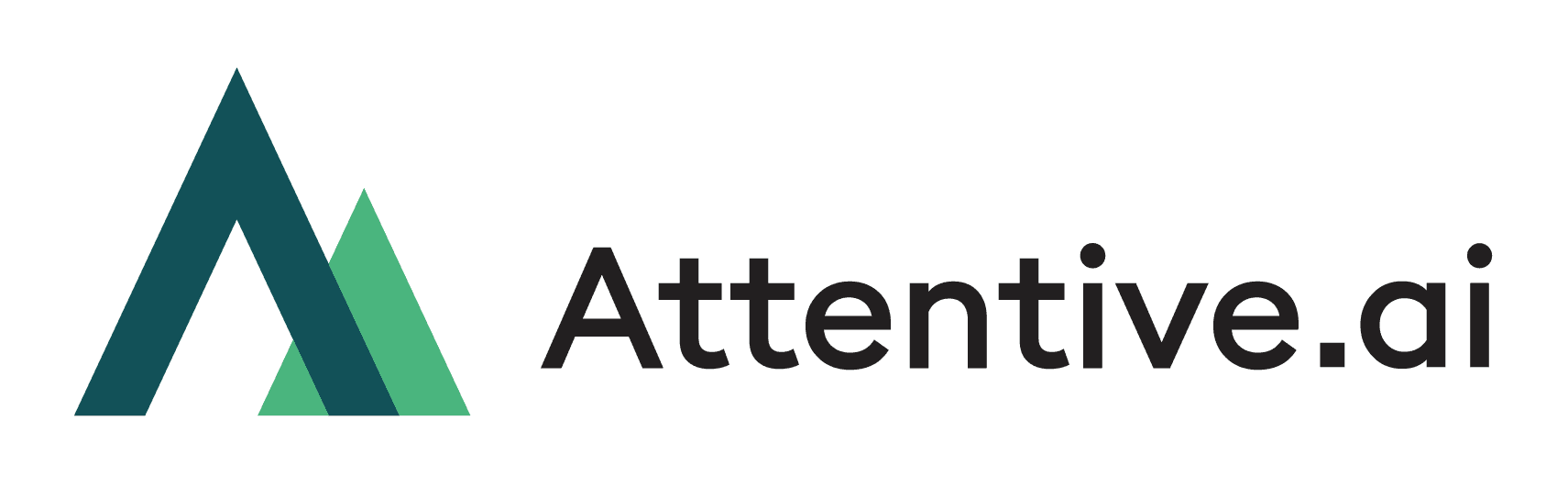 What Does Attentive.ai Do?