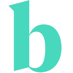 What Does Brightflag Do?