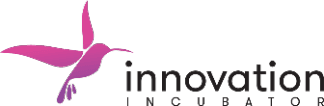 What Does Innovation Incubator Holding Do?