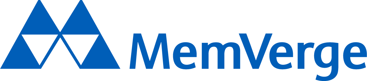 What Does MemVerge Do?