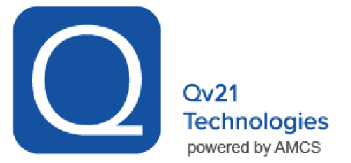 What Does Qv21 Technologies, Inc. Do?