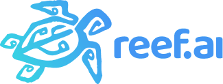 What Does Reef.ai Do?