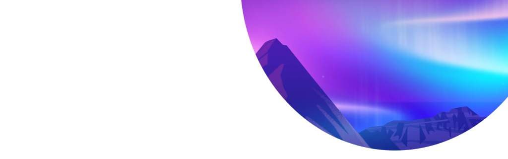 What Does Dimdim Do?