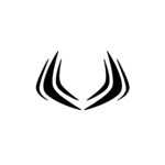 What Does Inversion Space Do?