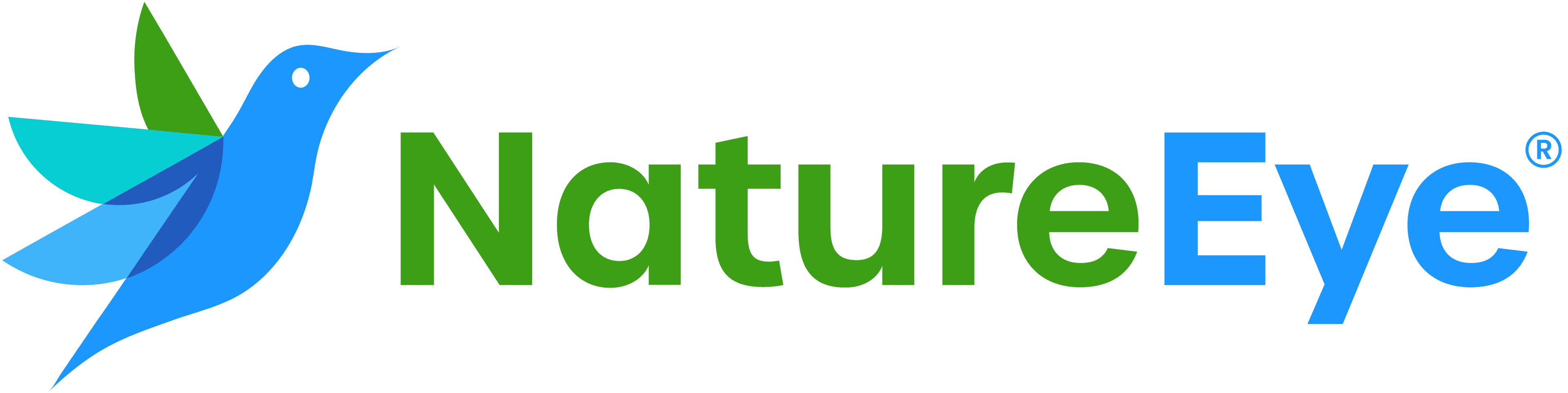 What Does NatureEye Do?