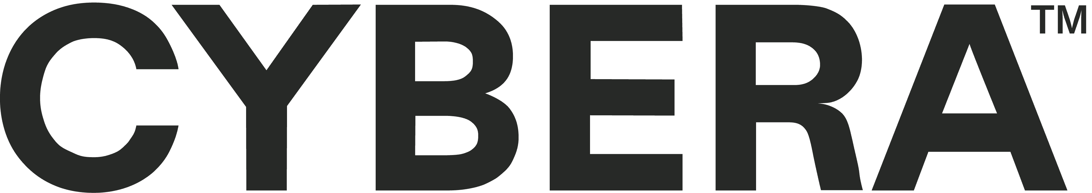 What Does CYBERA Do?