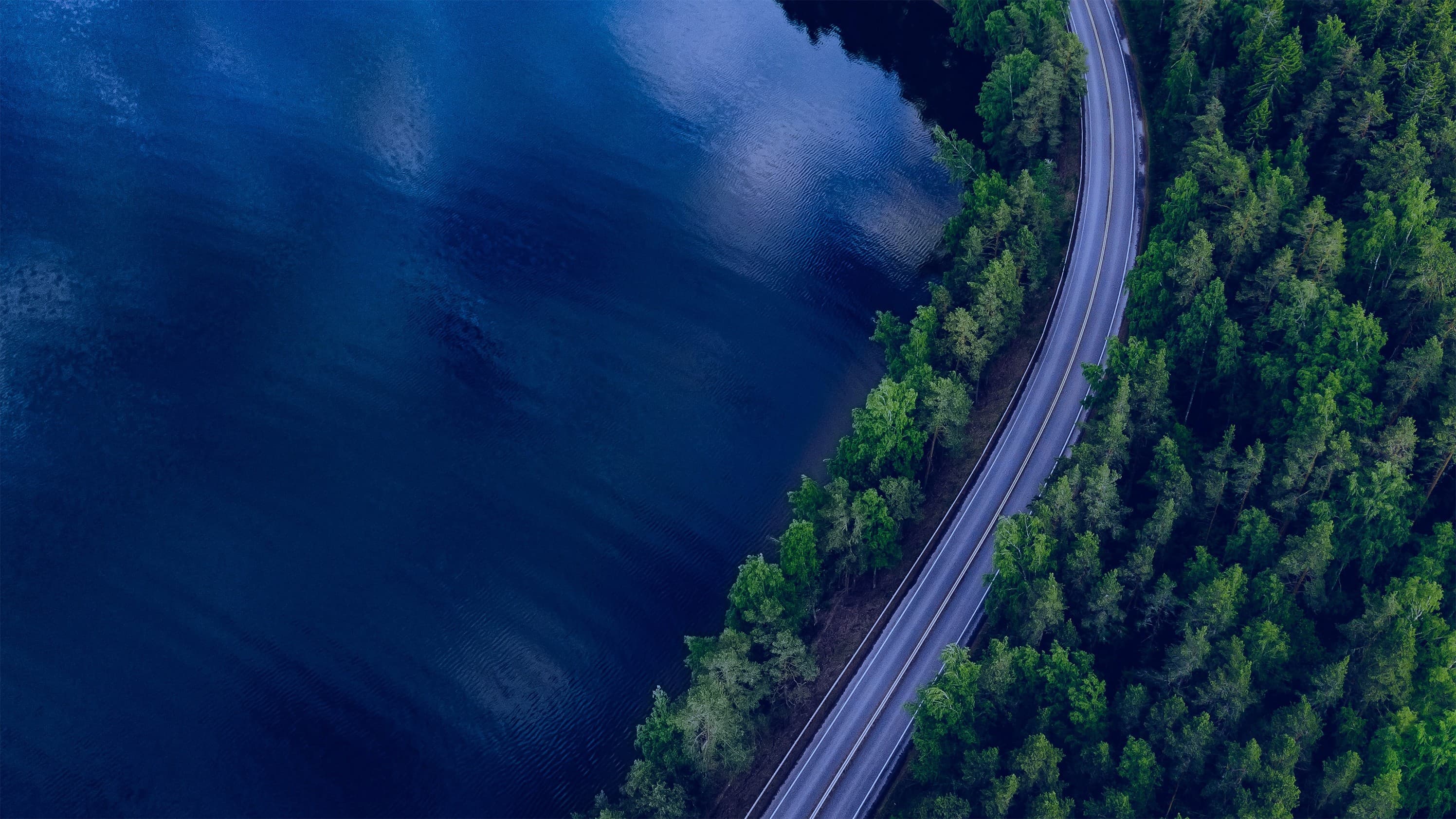 What Does TheCRM Corporation Do?