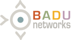 What Does Badu Networks Do?