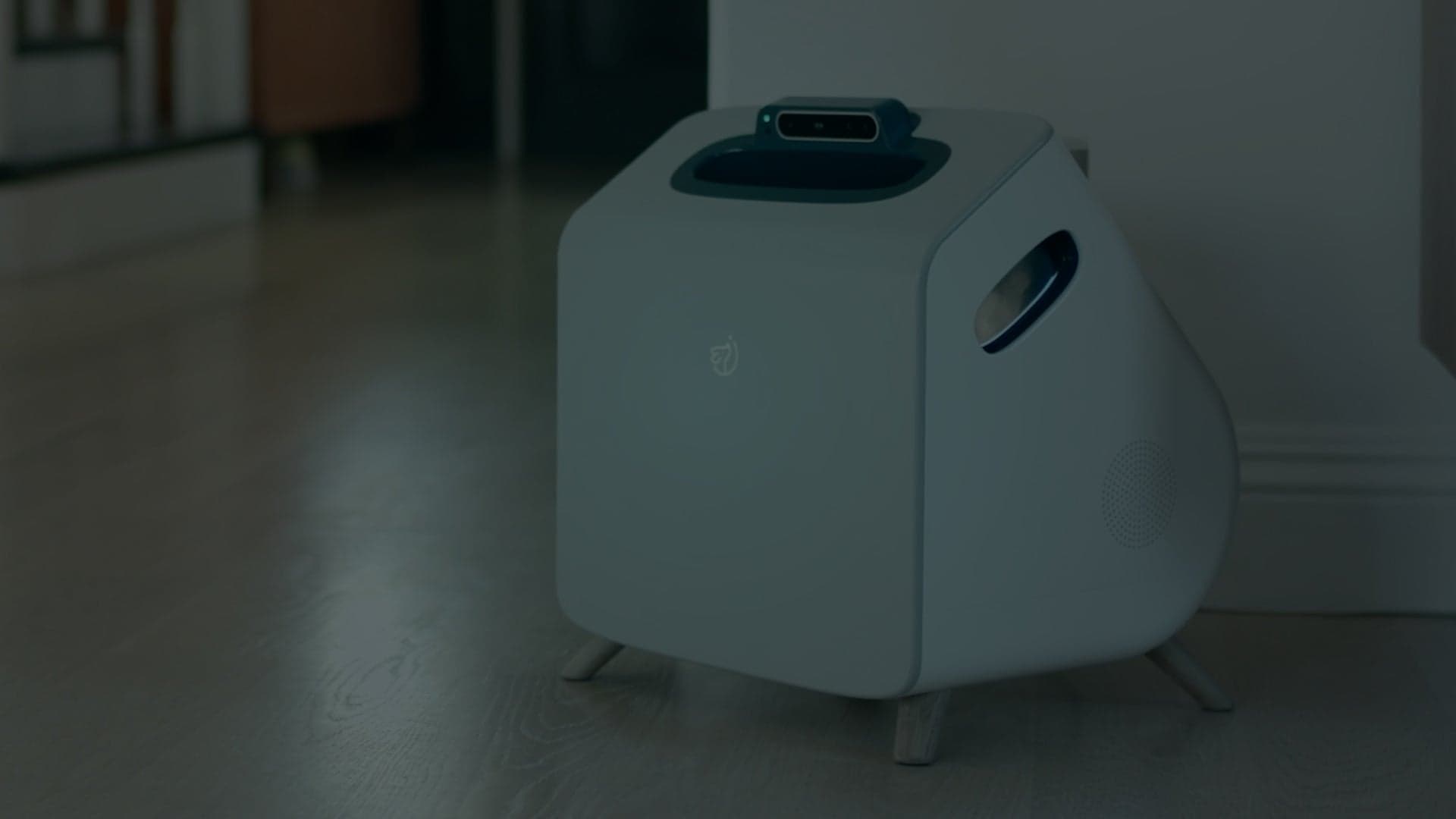 What Does Companion Do?