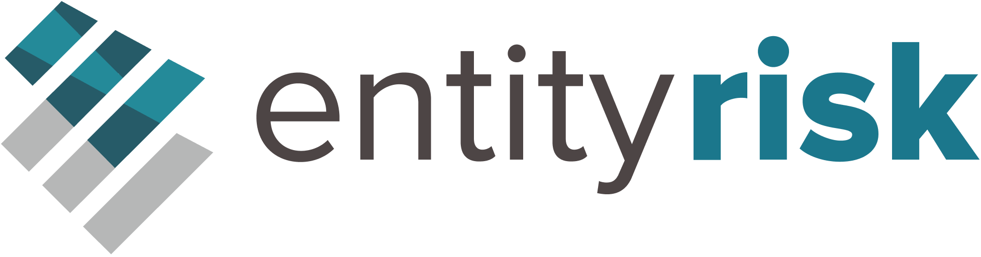 What Does EntityRisk Do?