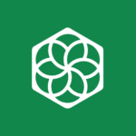 What Does Pachama Do? Climate-Tech, Carbon Offsets & Competitors Explained