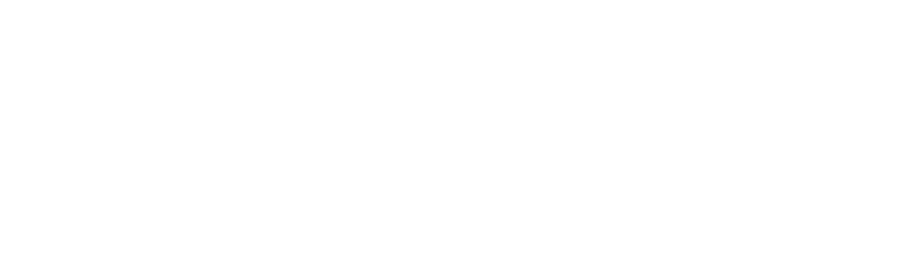 What Does AdAction Do?